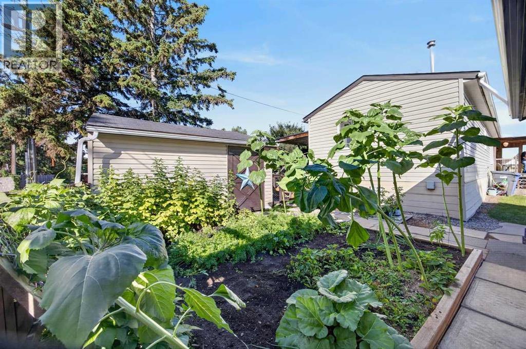 1223 Downie Street - 32
