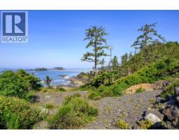 885 Moser Pl, Tofino, BC V0R2Z0 Photo 9