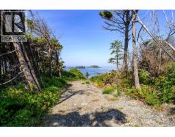 885 Moser Pl, Tofino, BC V0R2Z0 Photo 8