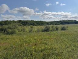 0 Pth 59 Highway, St Clements, MB R0E1C0 Photo 9