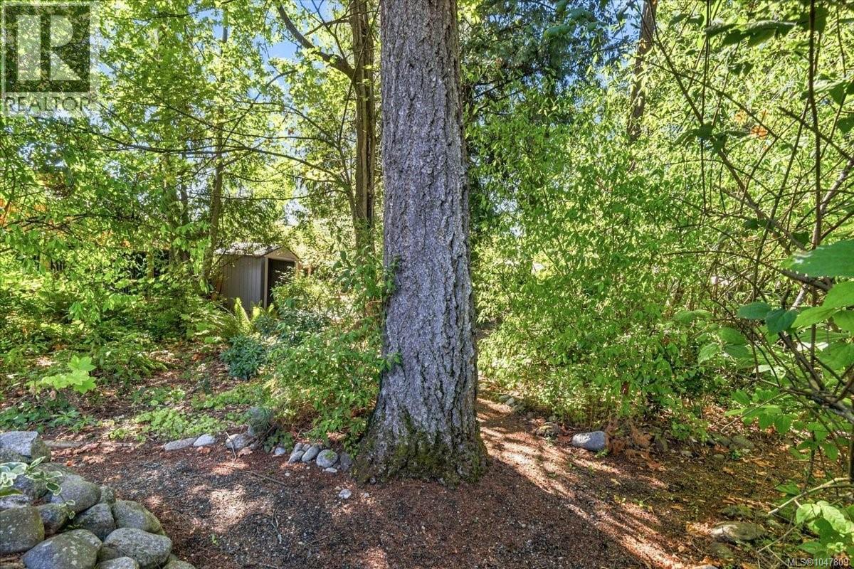 3115 Rock City Rd - Image 23
