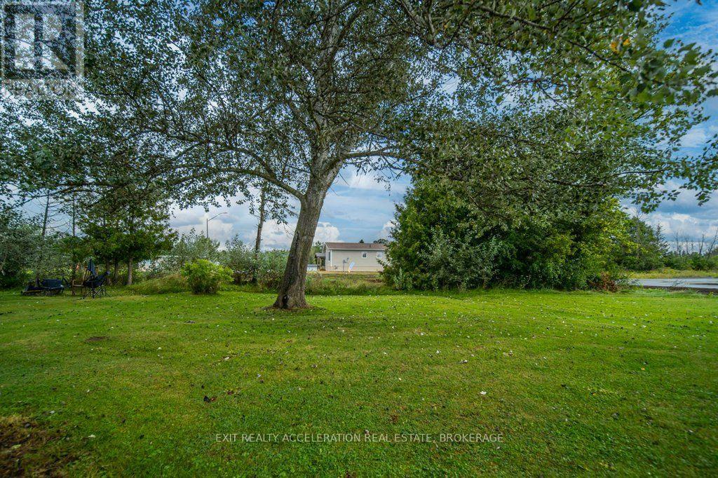 4 BIRCH STREET - 32