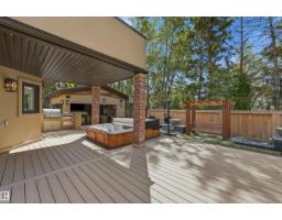 439 Rooney Cr Nw, Edmonton, AB T6R1C5 Photo 46