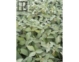Temple Land, Hudson Bay Rm No  394, SK S0A0A9 Photo 61
