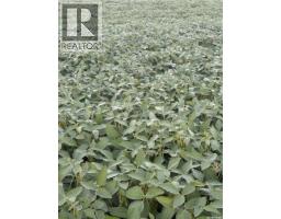Temple Land, Hudson Bay Rm No  394, SK S0A0A9 Photo 62