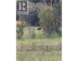 Temple Land, Hudson Bay Rm No  394, SK S0A0A9 Photo 64