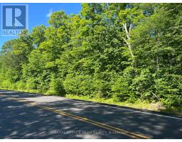 01 Siberia Road, Madawaska Valley, ON K0J1B0 Photo 6
