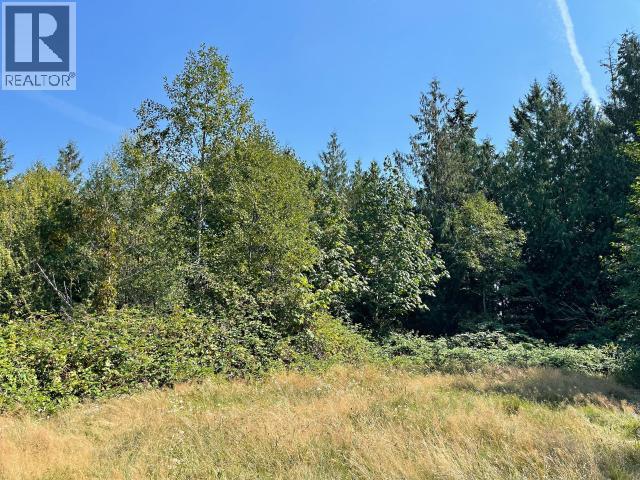 6866 CRANBERRY STREET - Image 18