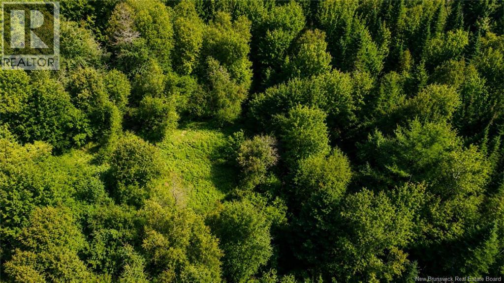 Lot Rue Morais, Bas-Caraquet, New Brunswick, E1W6A6, Bas-Caraquet, New Brunswick — photo 5 of 5