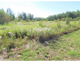 210 55504 Nikoodi Rd, Rural Lac Ste  Anne County, AB T0E0X0 Photo 18