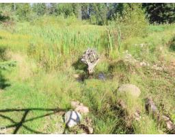 210 55504 Nikoodi Rd, Rural Lac Ste  Anne County, AB T0E0X0 Photo 16