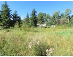 210 55504 Nikoodi Rd, Rural Lac Ste  Anne County, AB T0E0X0 Photo 17