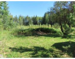 210 55504 Nikoodi Rd, Rural Lac Ste  Anne County, AB T0E0X0 Photo 21