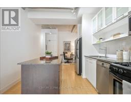 211 - 66 Portland Street, Toronto, ON M5V2M6 Photo 13
