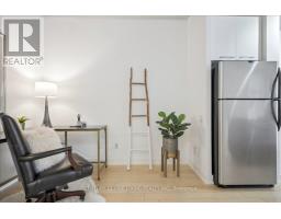 211 - 66 Portland Street, Toronto, ON M5V2M6 Photo 15