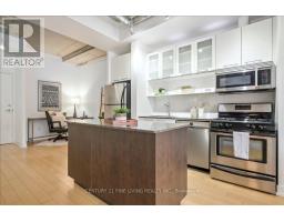 211 - 66 Portland Street, Toronto, ON M5V2M6 Photo 18