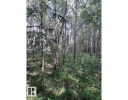 209 4418 Hwy 633, Rural Lac Ste  Anne County, AB T0E0L0 Photo 7