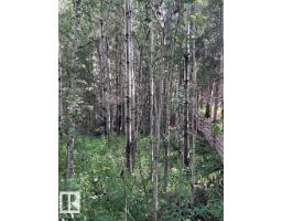 209 4418 Hwy 633, Rural Lac Ste  Anne County, AB T0E0L0 Photo 8