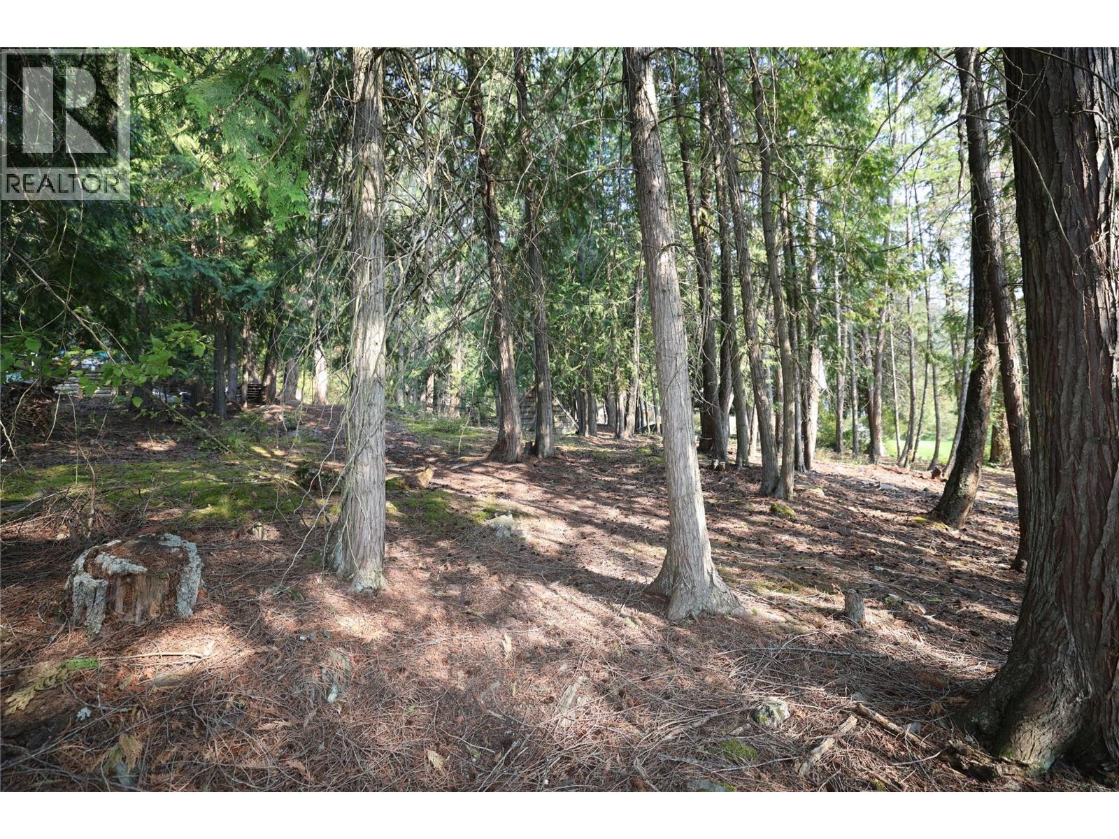 11993 Highway 3a - Image 11