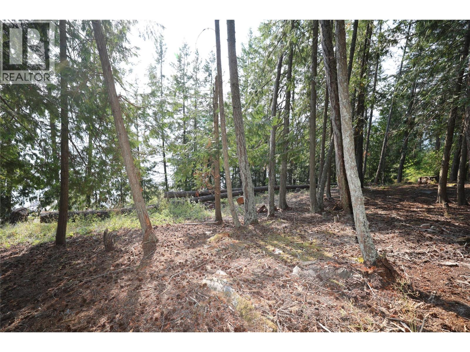 11993 Highway 3a - 12