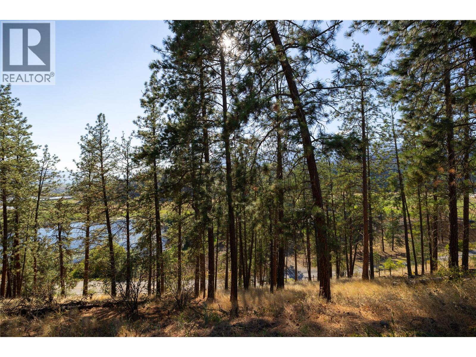 #170 9510 Highway 97N - Image 13