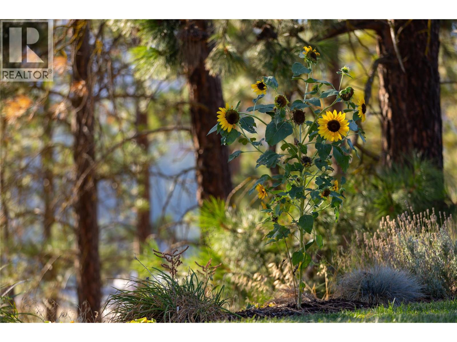 #170 9510 Highway 97N - Image 37