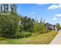 119 Walgrove Green Se, Calgary, AB T2X2H9 Photo 48