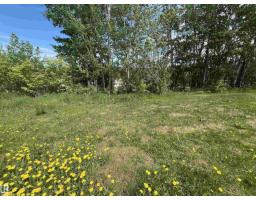 5128 50 St, Sangudo, AB T0A2A0 Photo 24