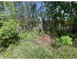 5128 50 St, Sangudo, AB T0A2A0 Photo 20