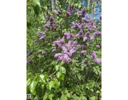 5128 50 St, Sangudo, AB T0A2A0 Photo 28
