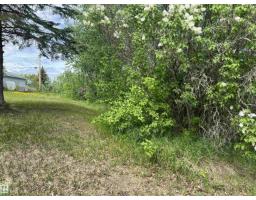 5128 50 St, Sangudo, AB T0A2A0 Photo 16