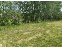 5128 50 St, Sangudo, AB T0A2A0 Photo 21