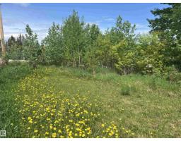 5128 50 St, Sangudo, AB T0A2A0 Photo 26