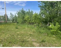 5128 50 St, Sangudo, AB T0A2A0 Photo 27