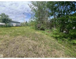 5128 50 St, Sangudo, AB T0A2A0 Photo 11