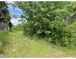 5128 50 St, Sangudo, AB T0A2A0 Photo 15