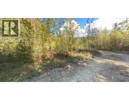 Lot A & Lot 6 Anstey Arm, Sicamous, BC V0E2V0 Photo 24
