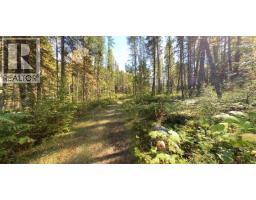 Lot A & Lot 6 Anstey Arm, Sicamous, BC V0E2V0 Photo 17