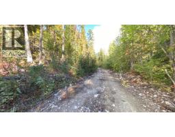 Lot A & Lot 6 Anstey Arm, Sicamous, BC V0E2V0 Photo 27