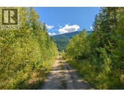 Lot A & Lot 6 Anstey Arm, Sicamous, BC V0E2V0 Photo 12