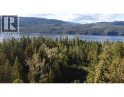 Lot A & Lot 6 Anstey Arm, Sicamous, BC V0E2V0 Photo 23