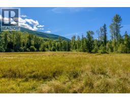 Lot A & Lot 6 Anstey Arm, Sicamous, BC V0E2V0 Photo 13