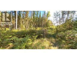 Lot A & Lot 6 Anstey Arm, Sicamous, BC V0E2V0 Photo 16