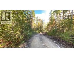 Lot A & Lot 6 Anstey Arm, Sicamous, BC V0E2V0 Photo 26