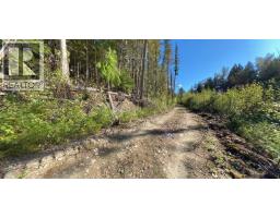 Lot A & Lot 6 Anstey Arm, Sicamous, BC V0E2V0 Photo 25