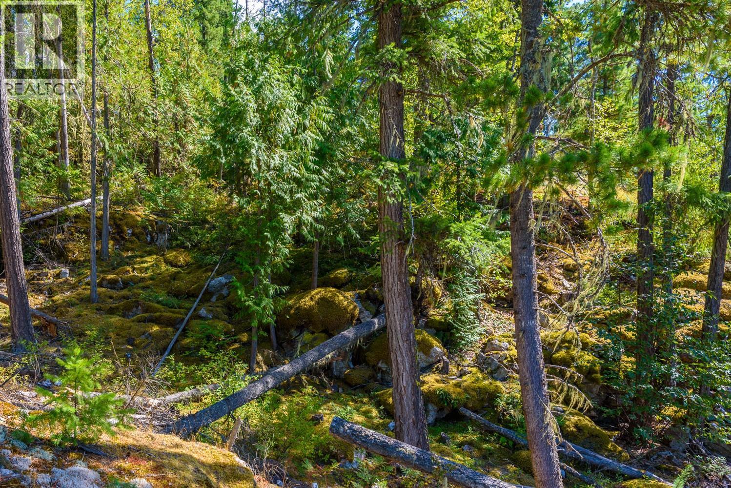  Anstey Arm Other, Sicamous