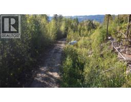 Lot A & Lot 6 Anstey Arm, Sicamous, BC V0E2V0 Photo 20