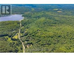 878 Deer Lake Rd Road, Huntsville, ON P0B1L0 Photo 35
