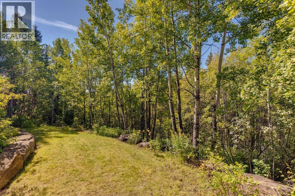 68 Spring Valley Way SW - 49
