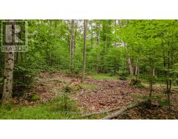 0 Peplinskie Road, Madawaska Valley, ON K0J1L0 Photo 15